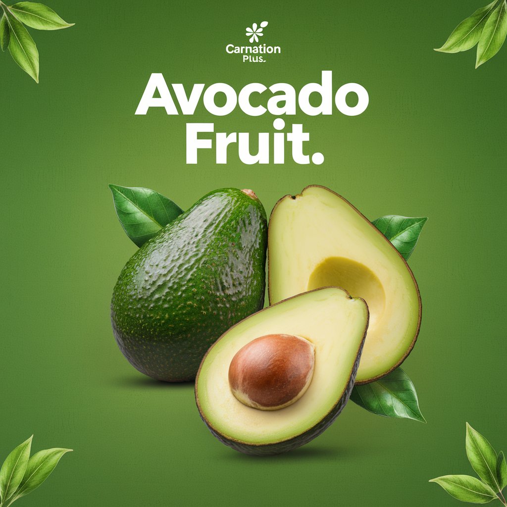Avocado Fruit